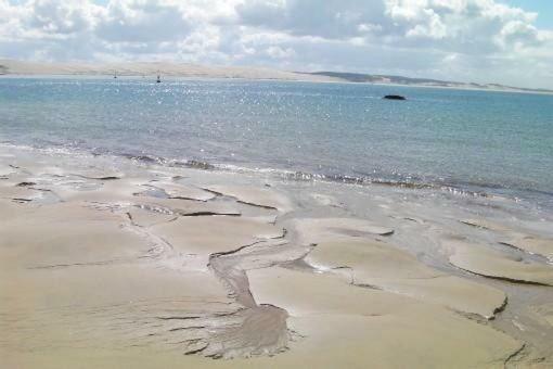 Le Gîte de l'Océan Lège-Cap-Ferret Esterno foto